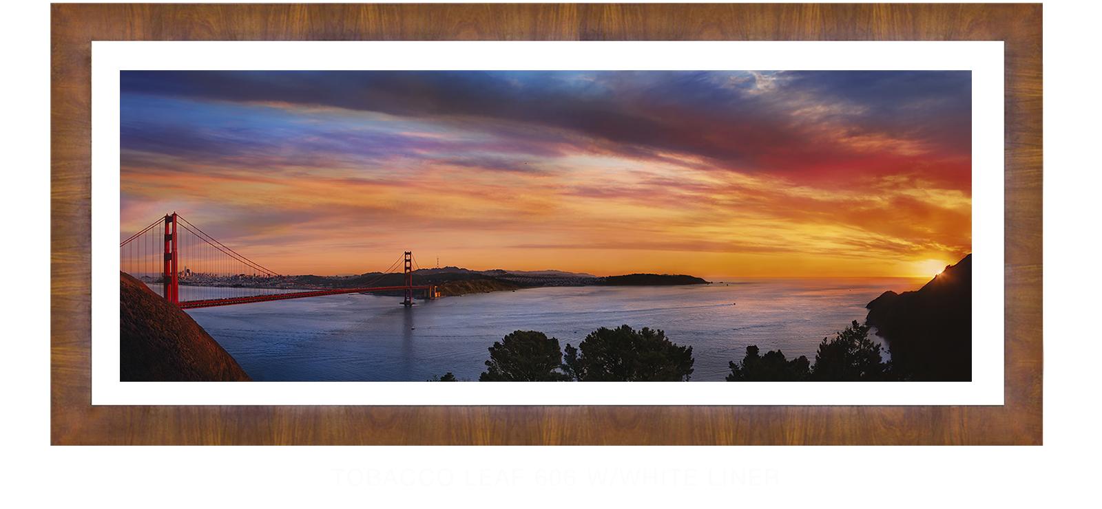 24GoldenGateBridge Tobacco Leaf 606 w_Wht Liner T
