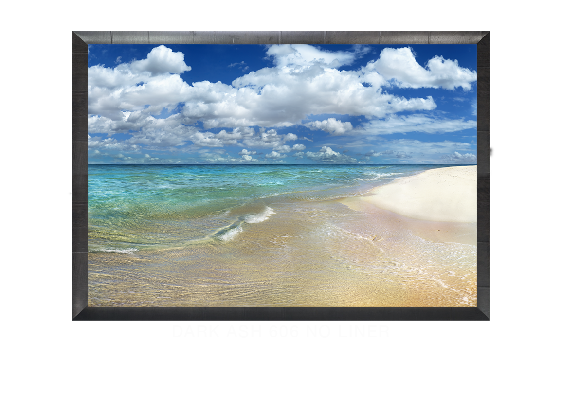 19__OCEAN SHORES DARKASH_606 NO LNR