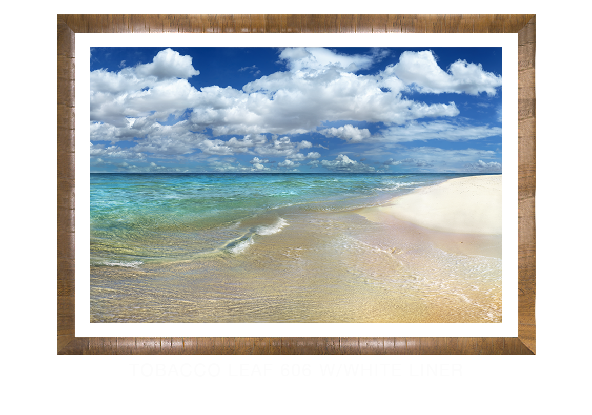 24__OCEAN SHORES TOBACCO LEAF_606 WHT LNR