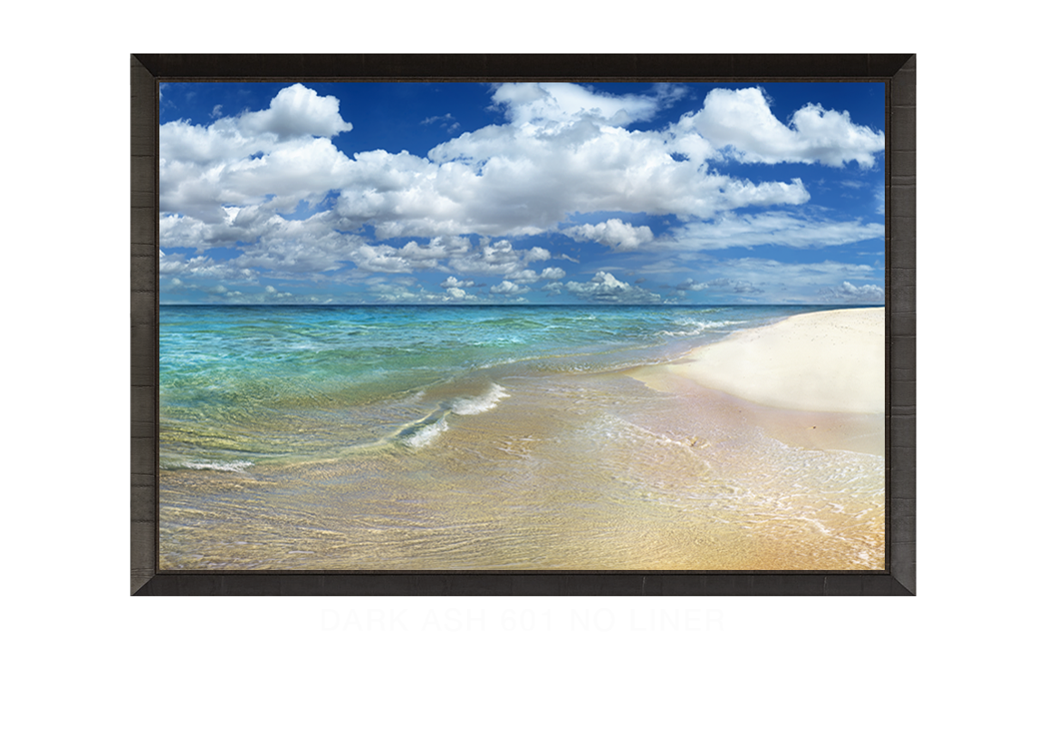 28__OCEAN SHORES DARKASH_601 NO LNR