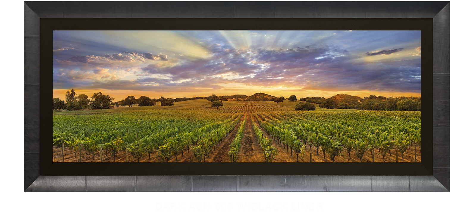 17NAPA LANDSCAPE Dark Ash 606 w_Blk Liner T