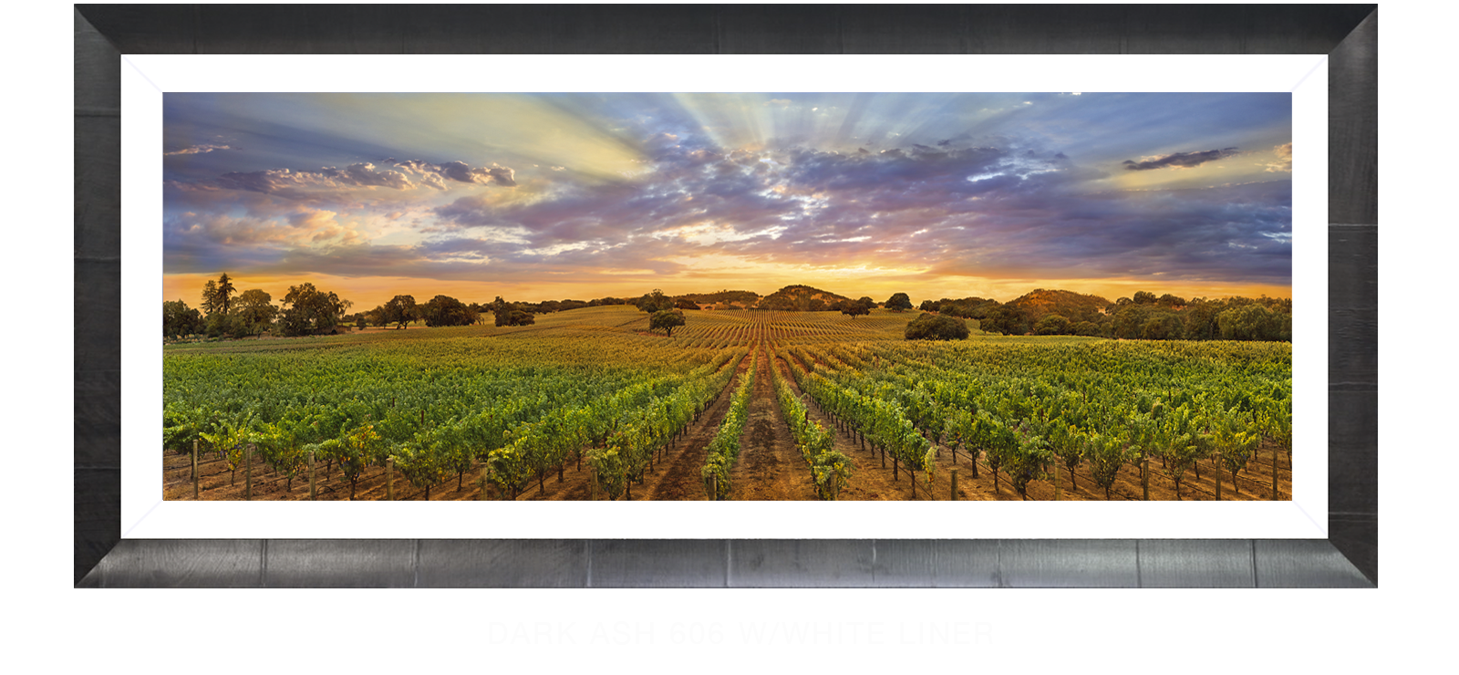 18NAPA LANDSCAPE Dark Ash 606 w_Wht Liner T