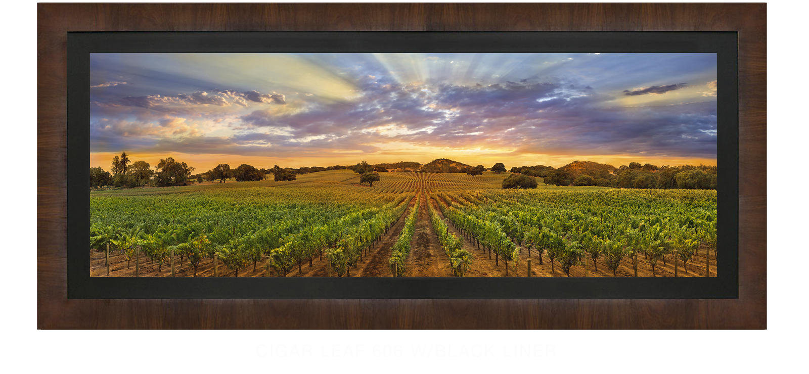 20NAPA LANDSCAPE Cigar Leaf 606 w_Blk Liner T