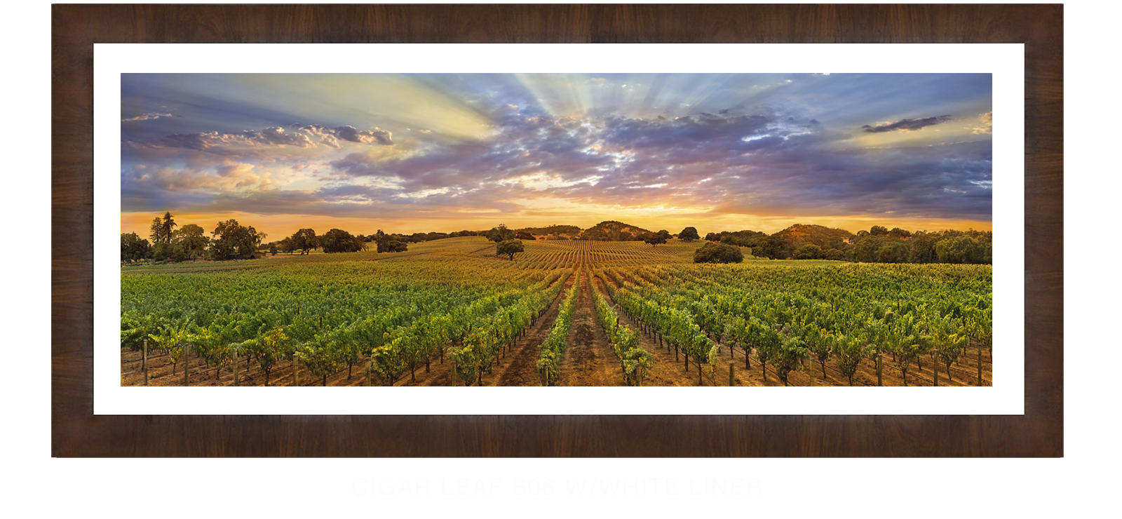 21NAPA LANDSCAPE Cigar Leaf 606 w_Wht Liner T