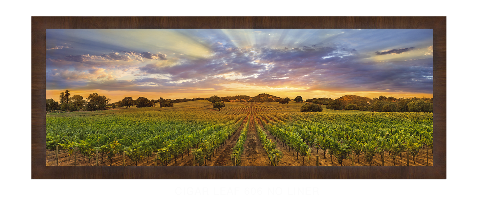 22NAPA LANDSCAPE Cigar Leaf 606 w_No Liner T