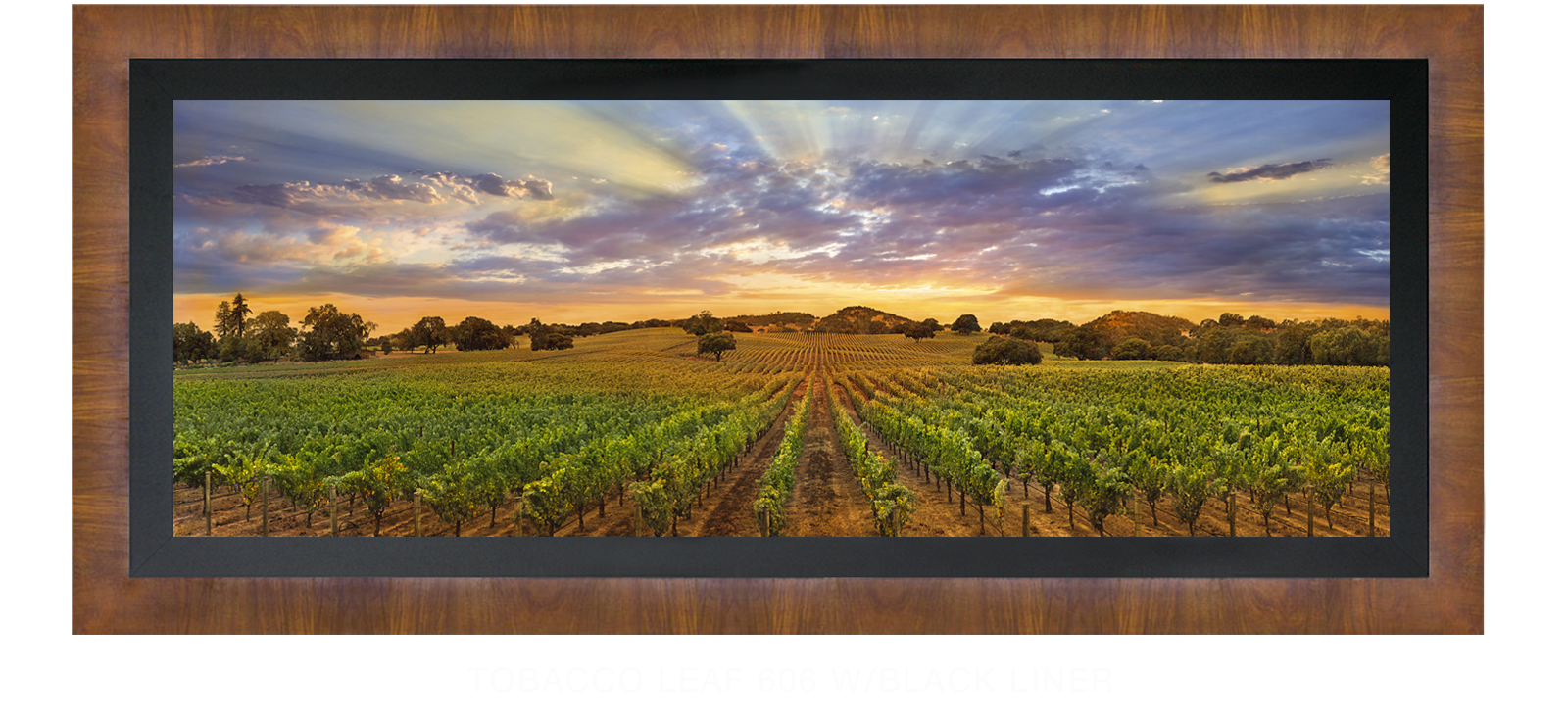 23NAPA LANDSCAPE Tobacco Leaf 606 w_Blk Liner T