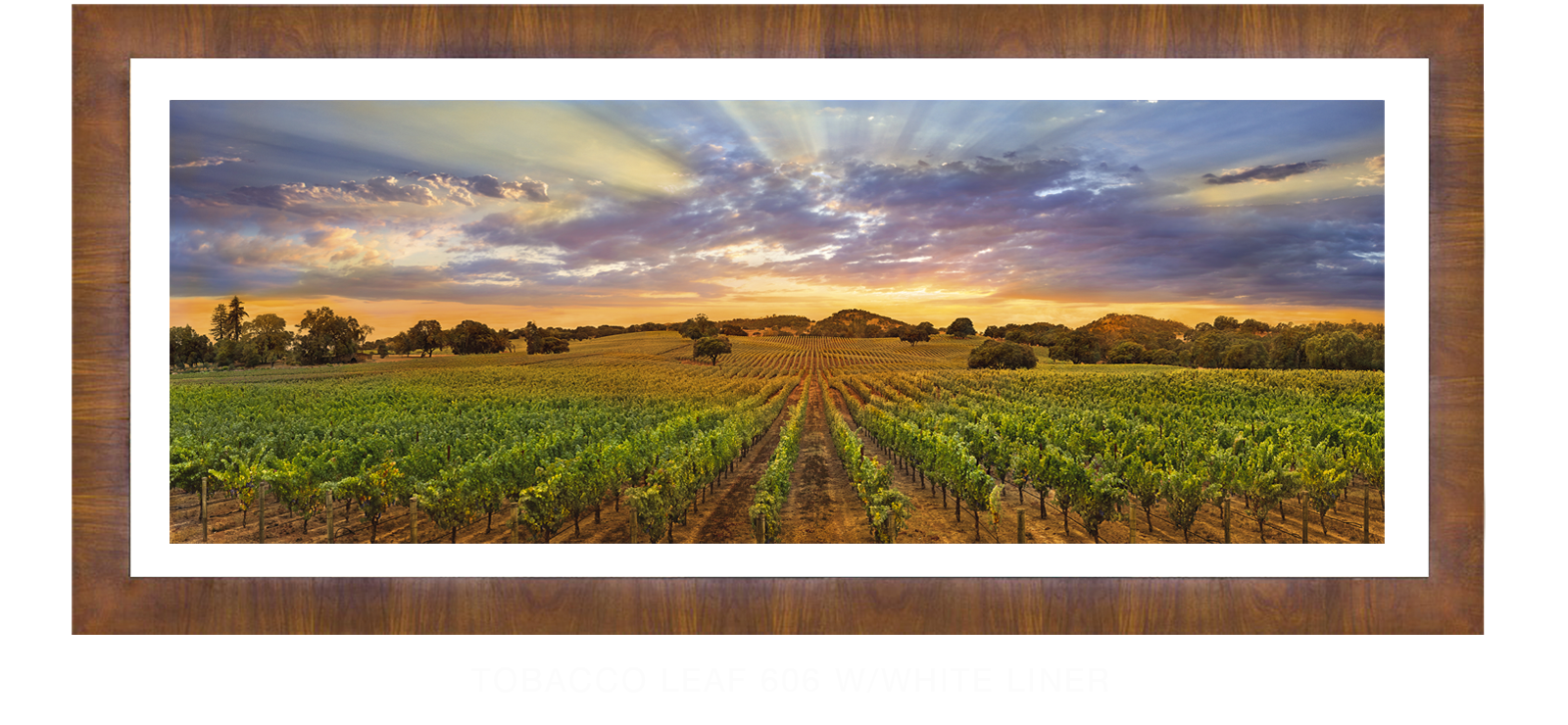 24NAPA LANDSCAPE Tobacco Leaf 606 w_Wht Liner T