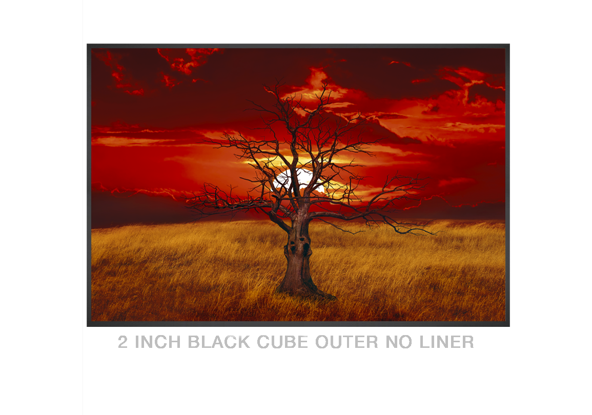 10__SUNTREE_2 IN BLK CUBE OUTER NO LNR