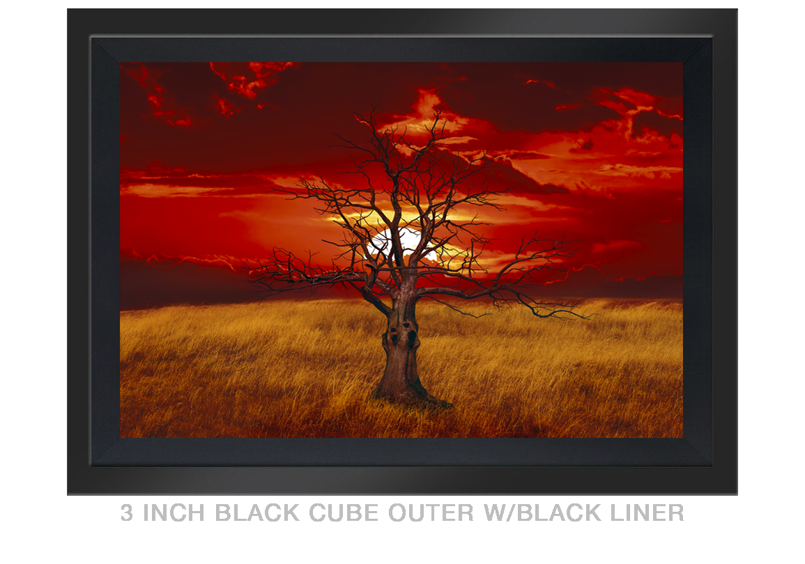 11__SUNTREE_3 IN BLK CUBE OUTER BLK LNR