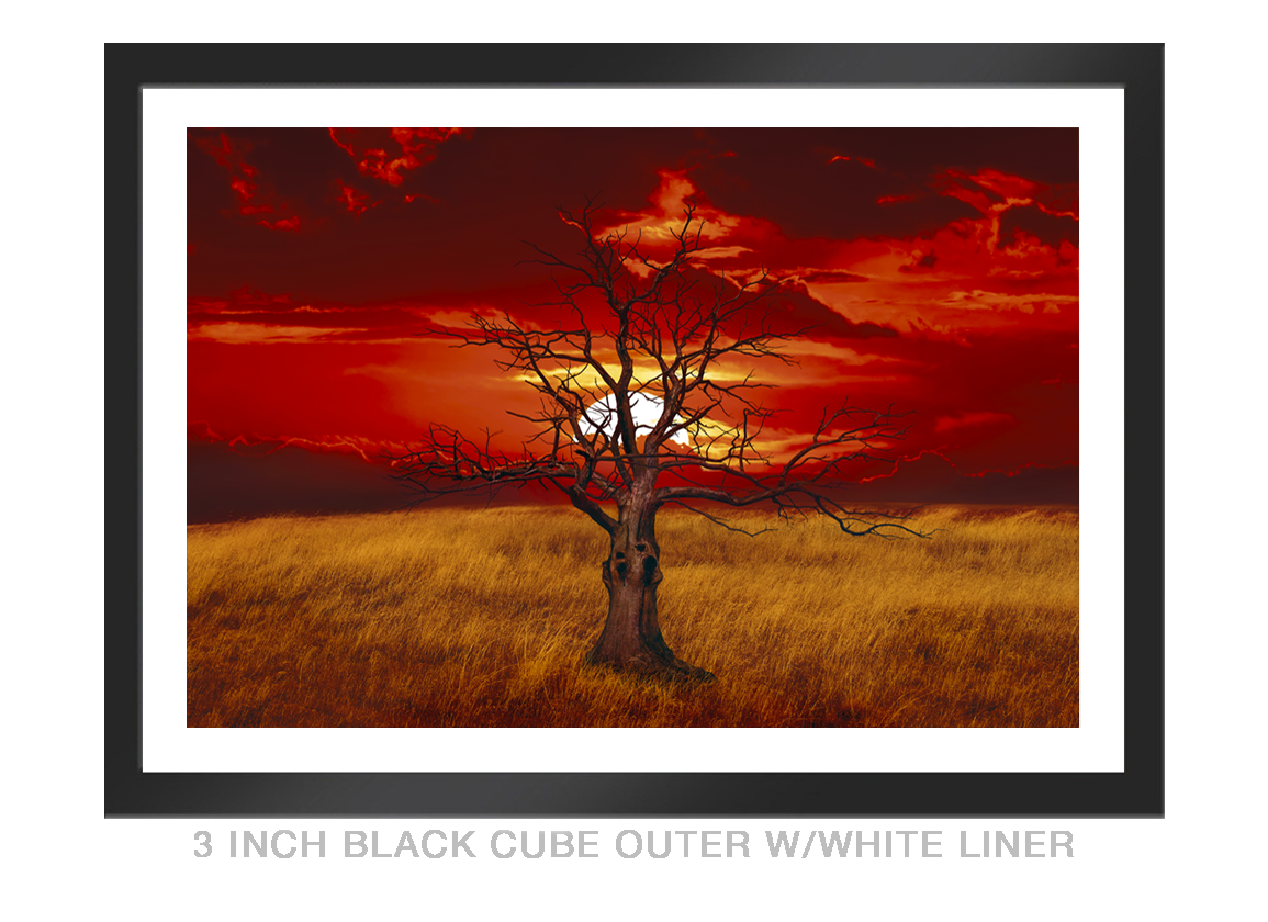 12__SUNTREE_3 IN BLK CUBE OUTER WHT LNR