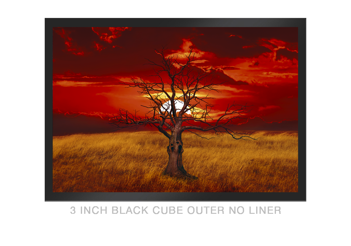 13__SUNTREE_3 IN BLK CUBE OUTER NO LNR