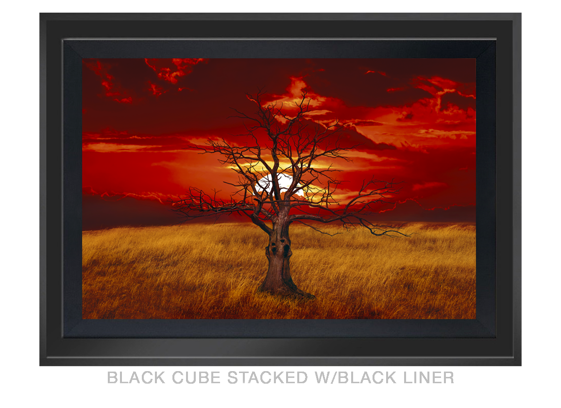 14__SUNTREE_ BLK CUBE STACKED BLK LNR