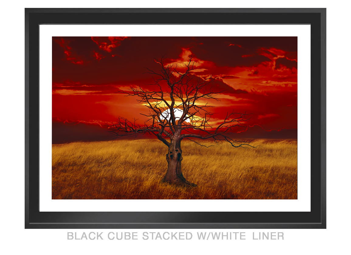 15__SUNTREE_ BLK CUBE STACKED WHT_LNR