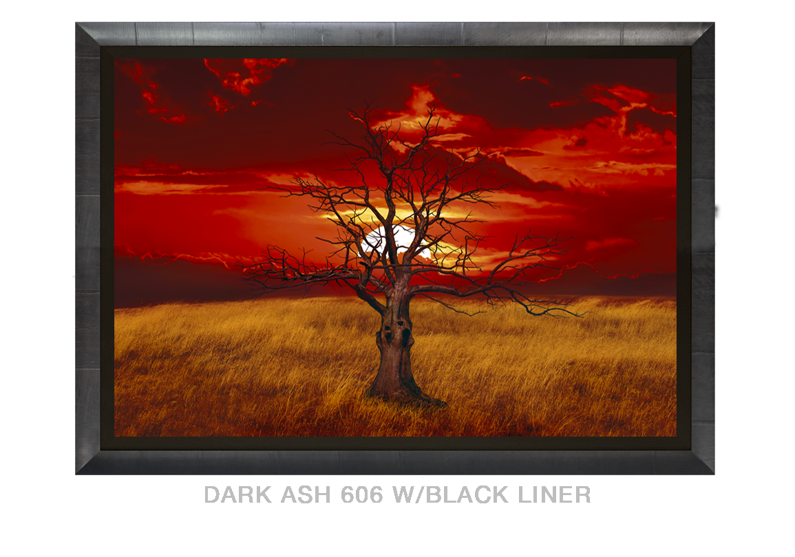 17__SUNTREE_DARKASH_606 BLK LNR