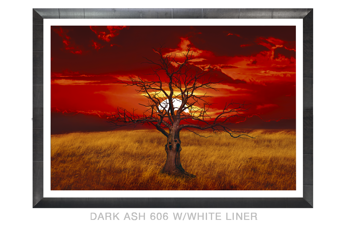 18__SUNTREE_DARKASH_606 WHT LNR