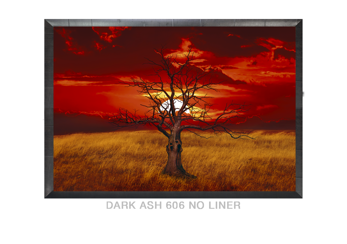 19__SUNTREE_DARKASH_606 NO LNR