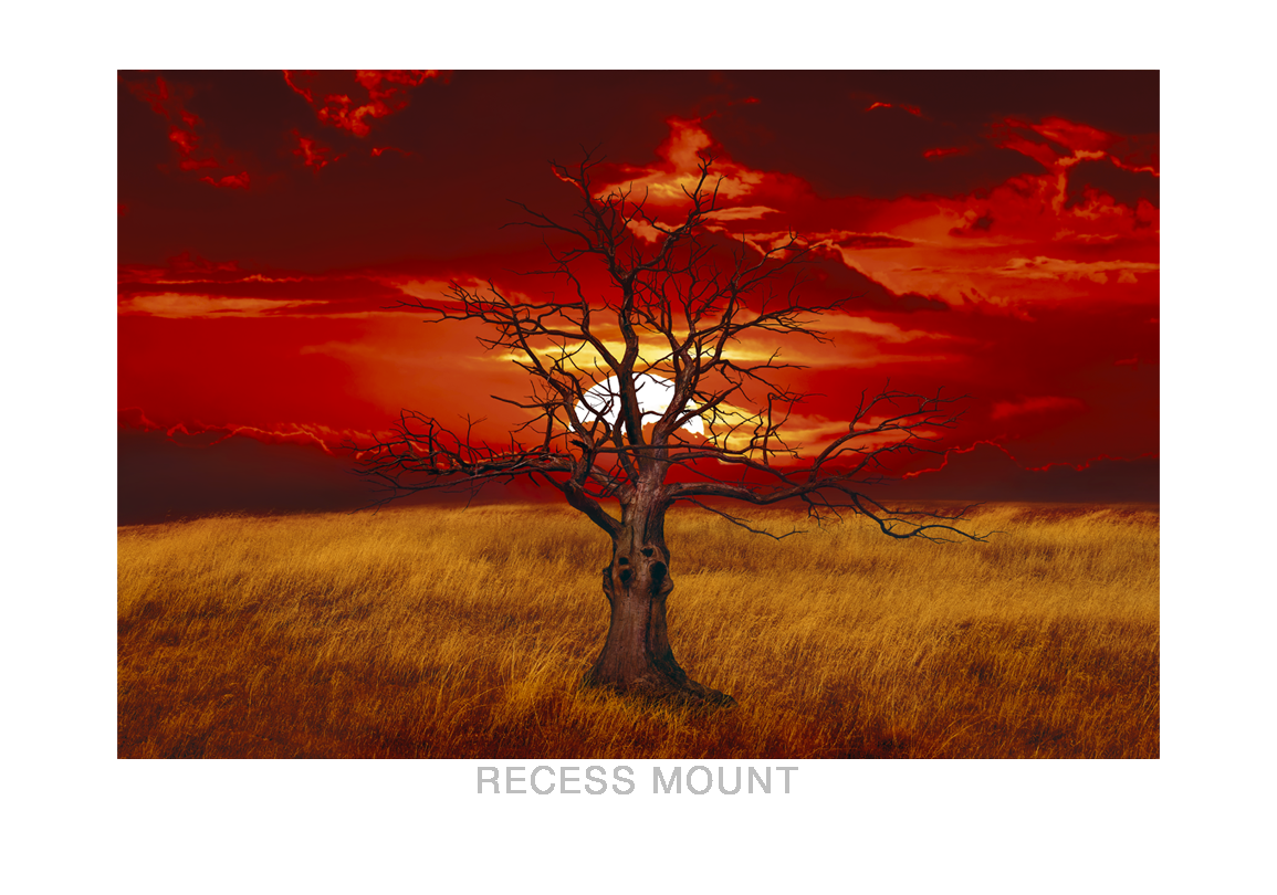 1__SUNTREE_ RECESS