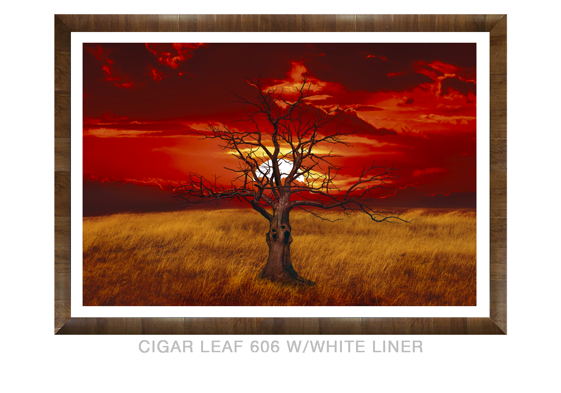 21__SUNTREE_CIGARLEAF_606 WHT LNR
