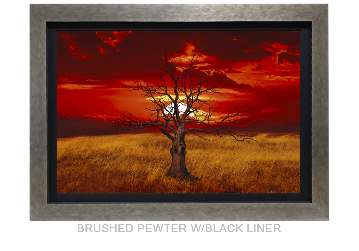 26_SUNTREE_BRUSHED PEWTER BLK LNR