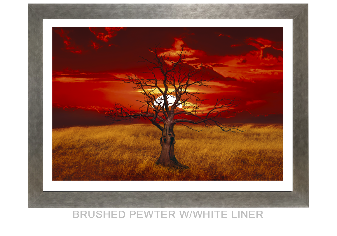 27_SUNTREE_BRUSHED PEWTER WHT LNR