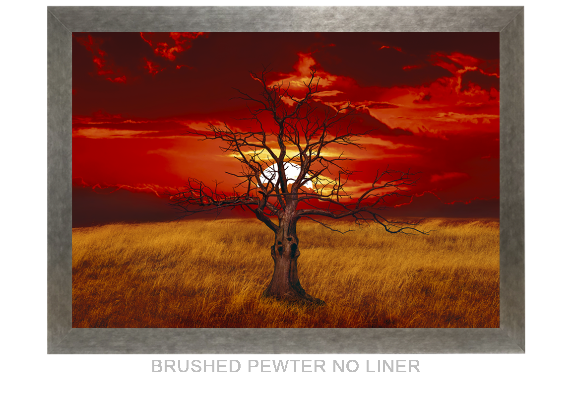 28_SUNTREE_BRUSHED PEWTER NO LNR