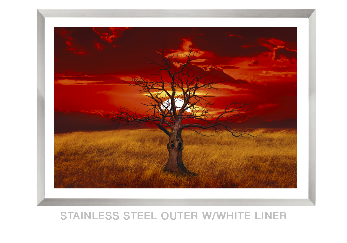 3__SUNTREE_STAINLESS STEEL OUTER WHT LNR