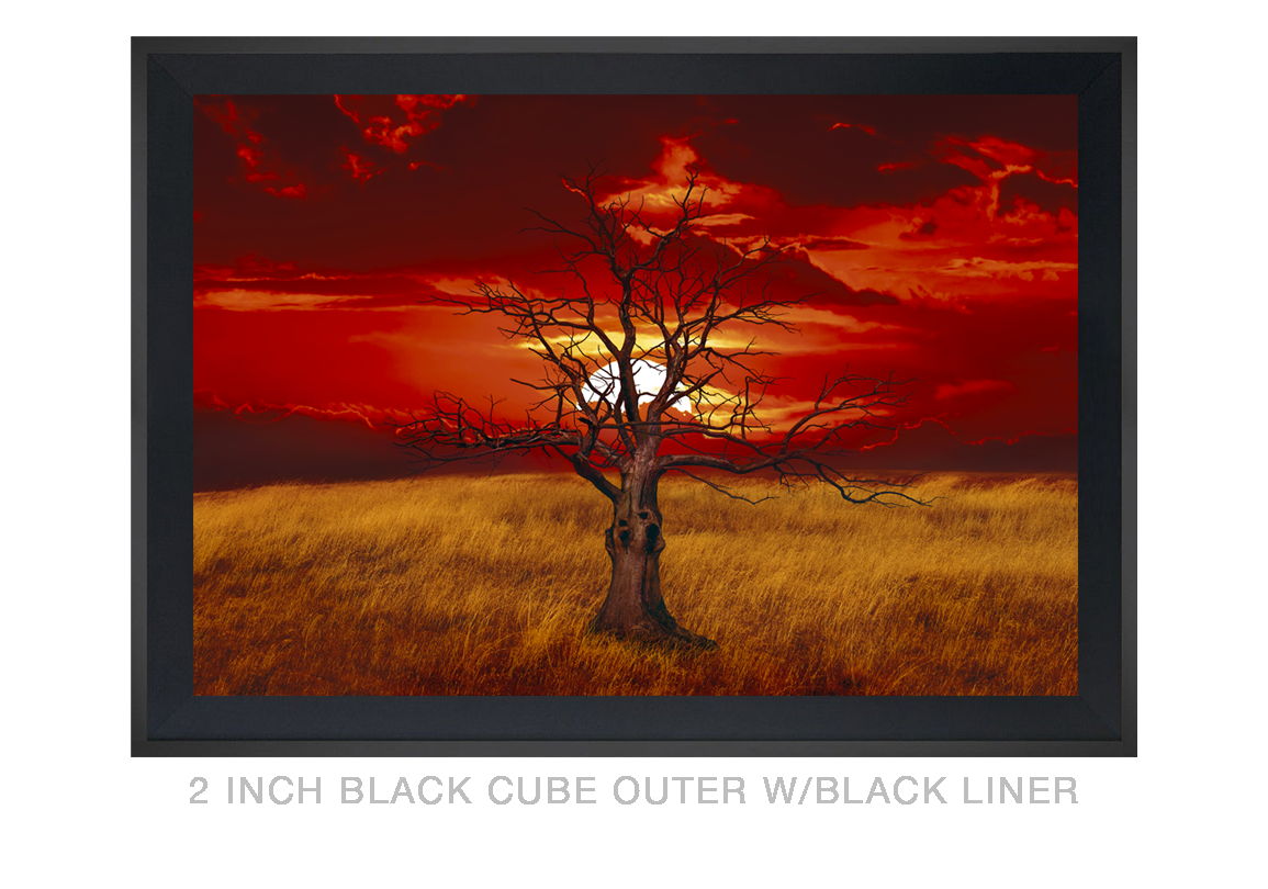 8__SUNTREE_2 IN BLK CUBE OUTER BLK LNR