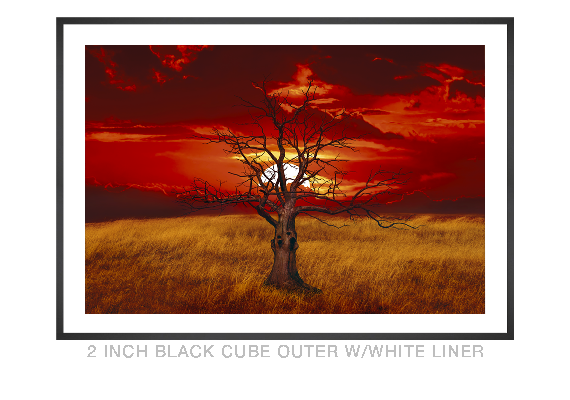 9__SUNTREE_2 IN BLK CUBE OUTER WHT LNR