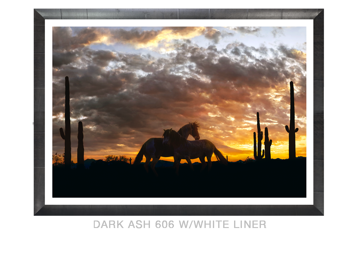 18__HOZHO_DARKASH_606 WHT LNR