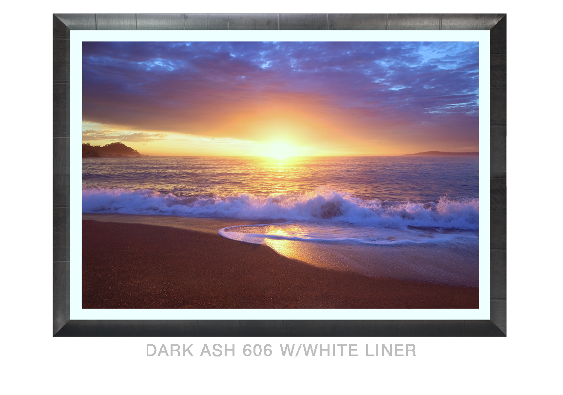 18__ AUREA PACIS_DARKASH_606 WHT LNR2
