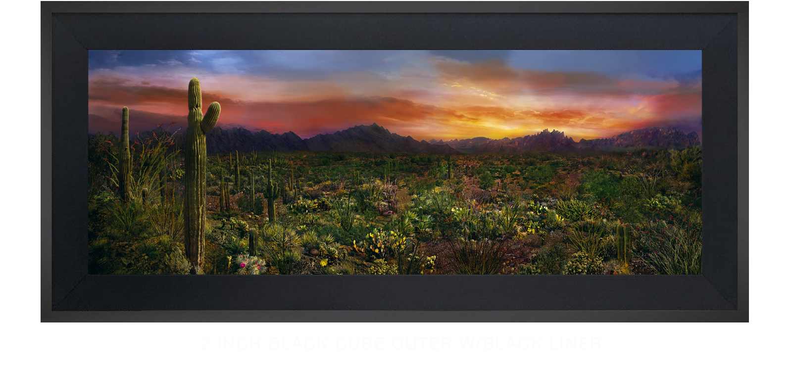 8EDEN VERNALIS 2 Inch Black Cube Outer w_Blk Liner T