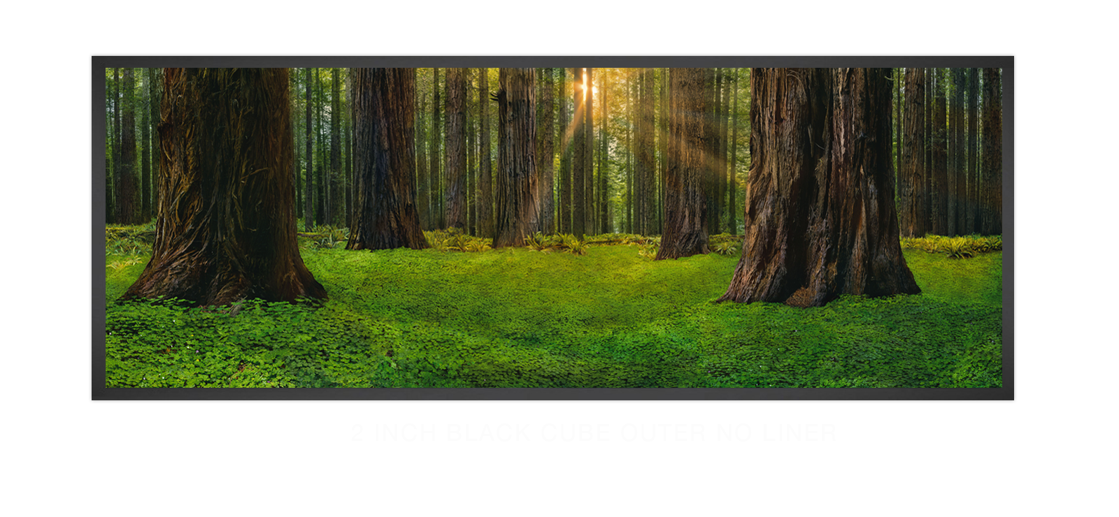 10SANCTUS_TITANICUS 2 Inch Black Cube Outer w_No Liner T