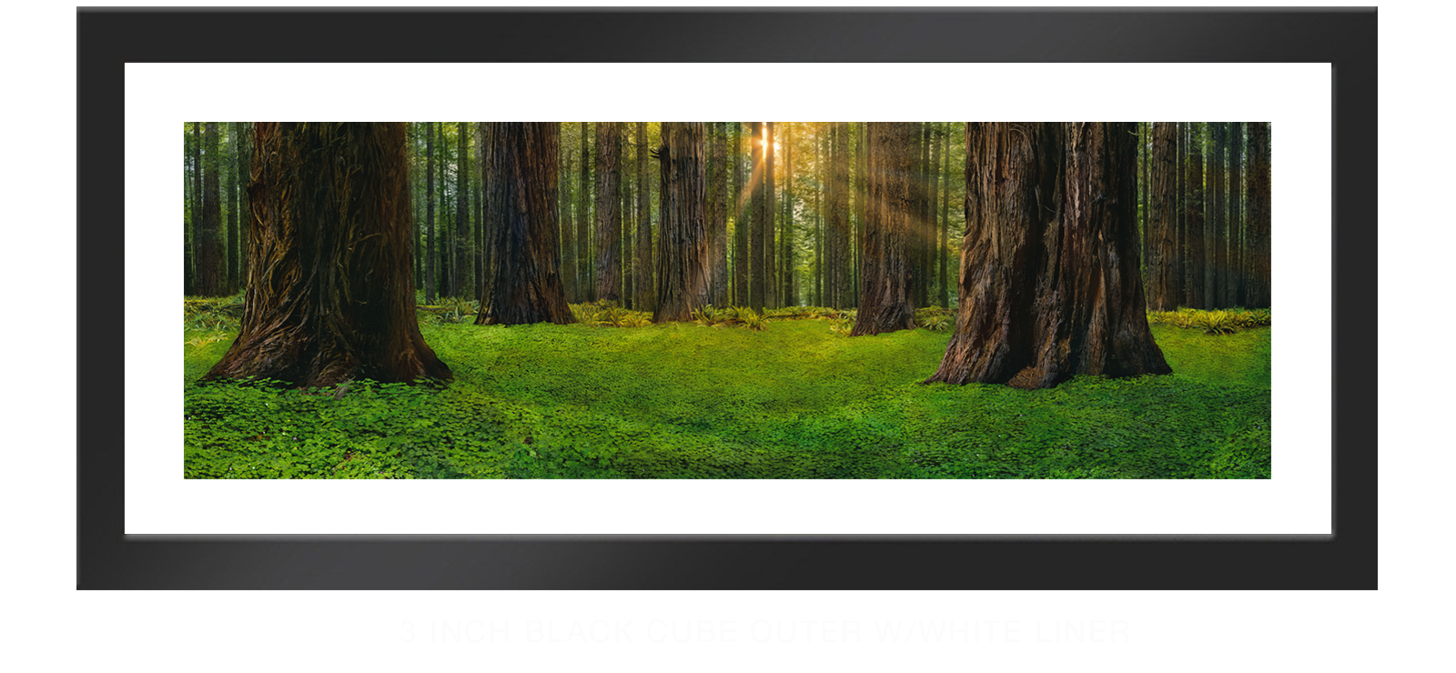 12SANCTUS_TITANICUS 3 Inch Black Cube Outer w_Wht Liner T