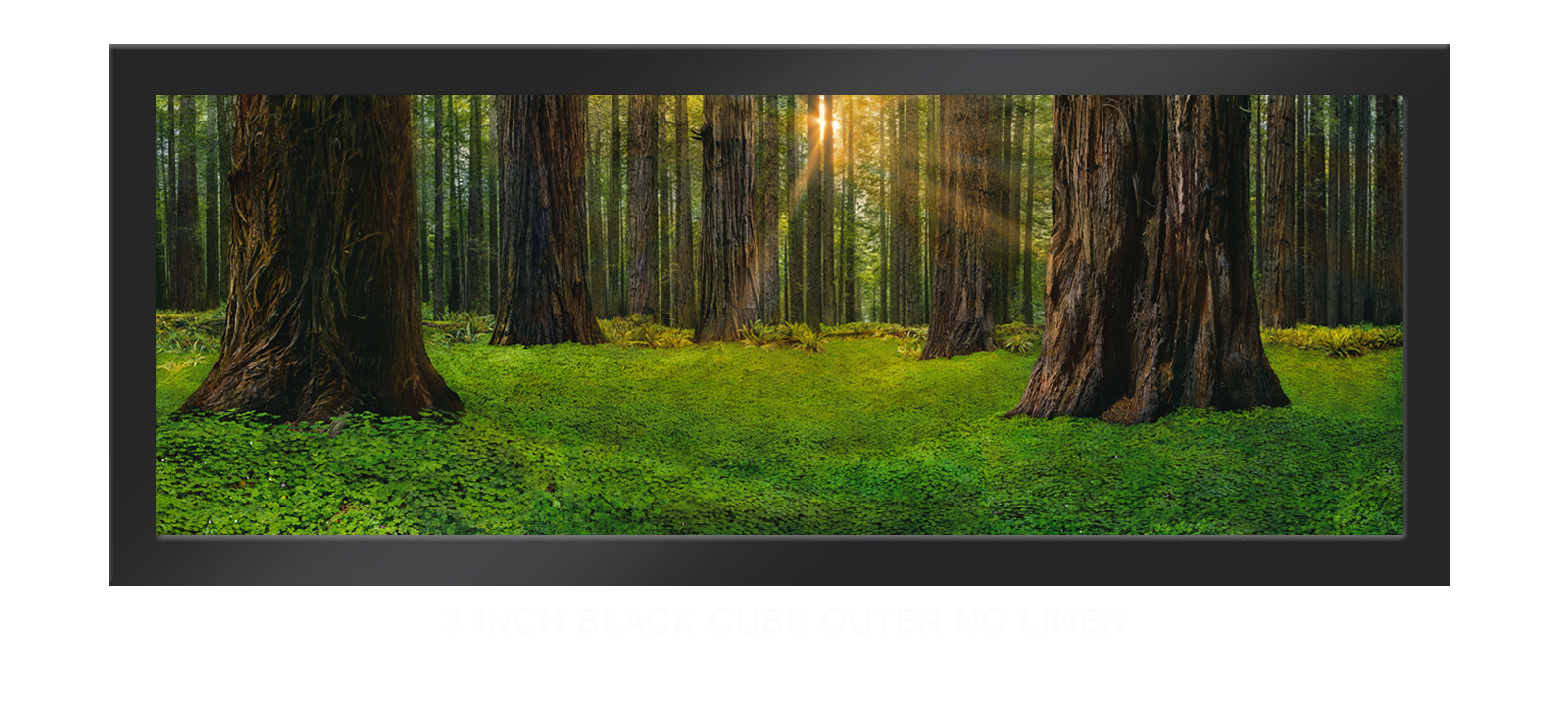 13SANCTUS_TITANICUS 3 Inch Black Cube Outer w_No Liner T