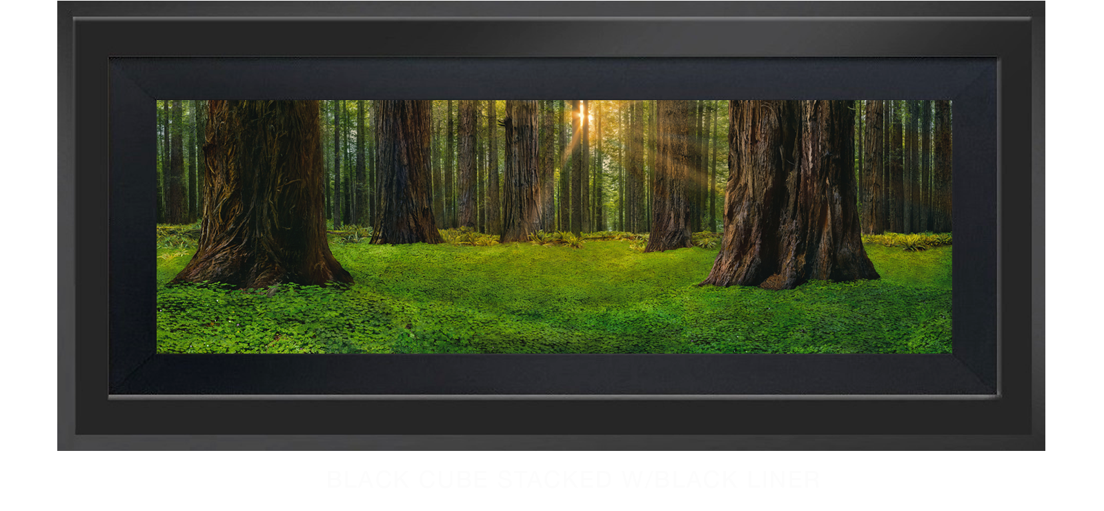 14SANCTUS_TITANICUS Black Cube Stacked w_Blk Liner T