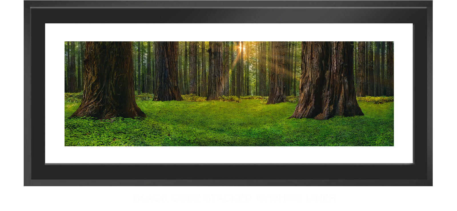 15SANCTUS_TITANICUS Black Cube Stacked w_Wht Liner T2b