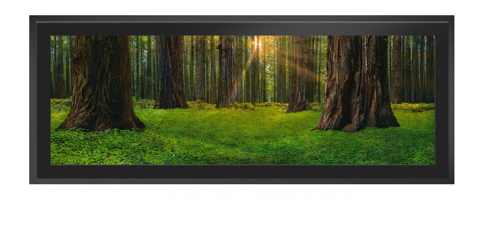 16SANCTUS_TITANICUS Black Cube Stacked No Liner T
