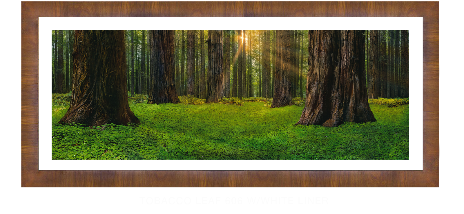 24SANCTUS_TITANICUS Tobacco Leaf 606 w_Wht Liner T