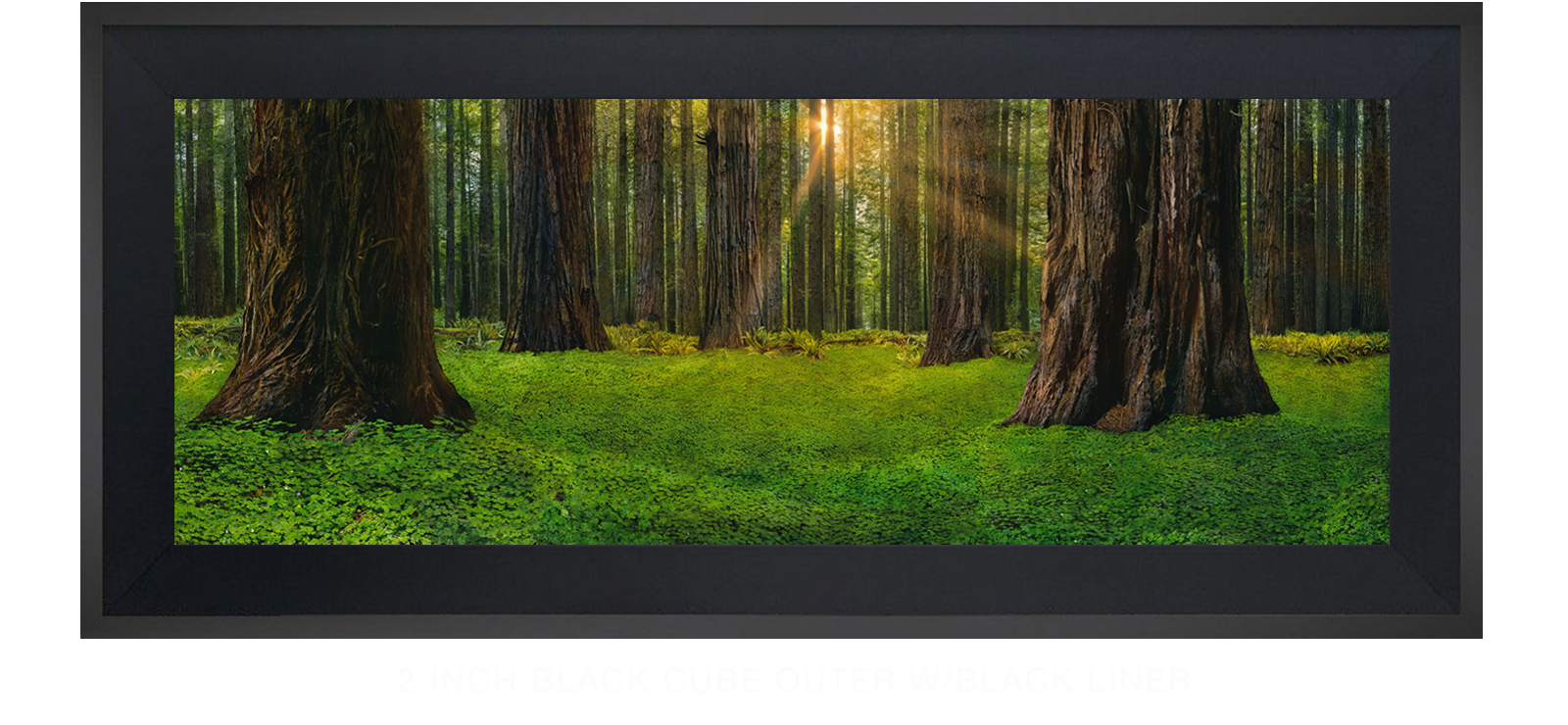 8SANCTUS_TITANICUS 2 Inch Black Cube Outer w_Blk Liner T
