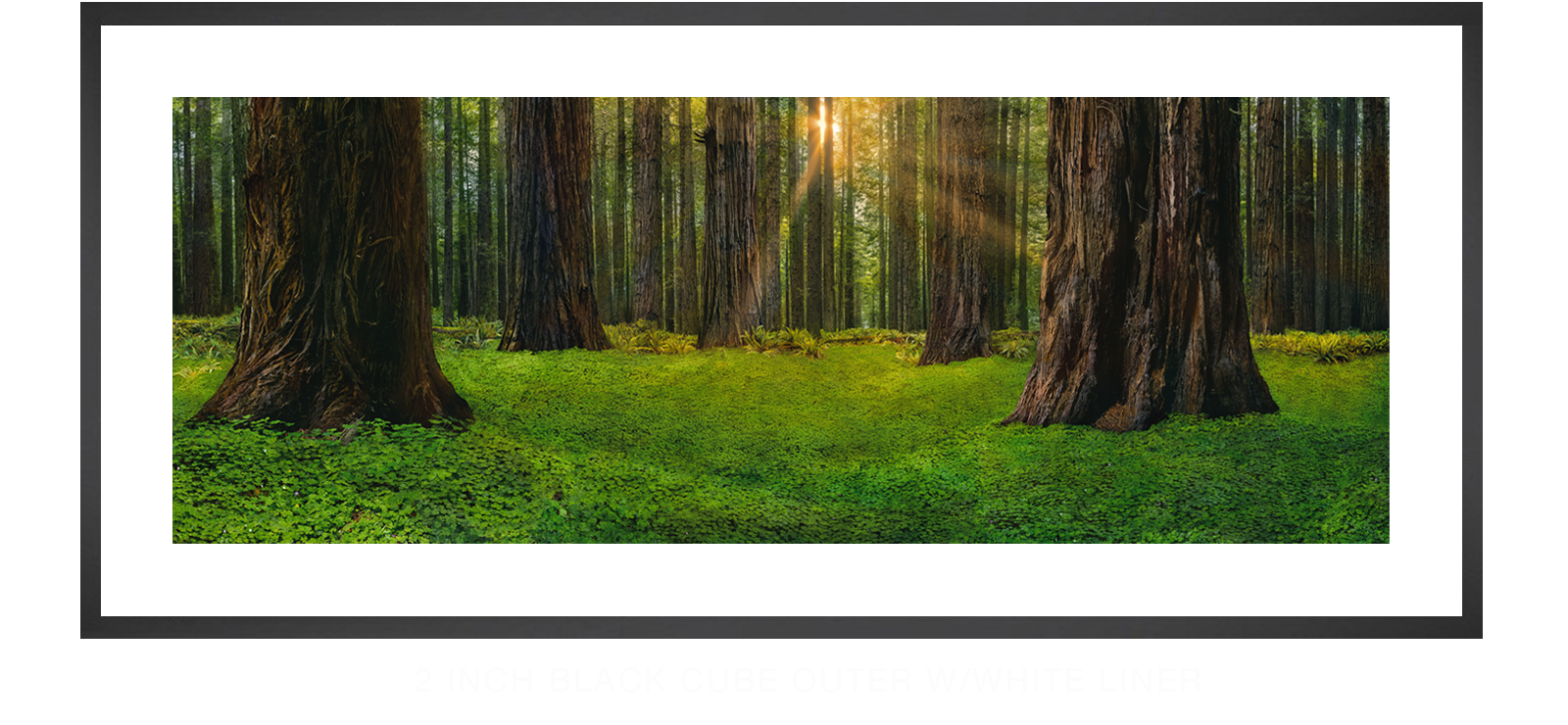 9SANCTUS_TITANICUS 2 Inch Black Cube Outer w_Wht Liner T