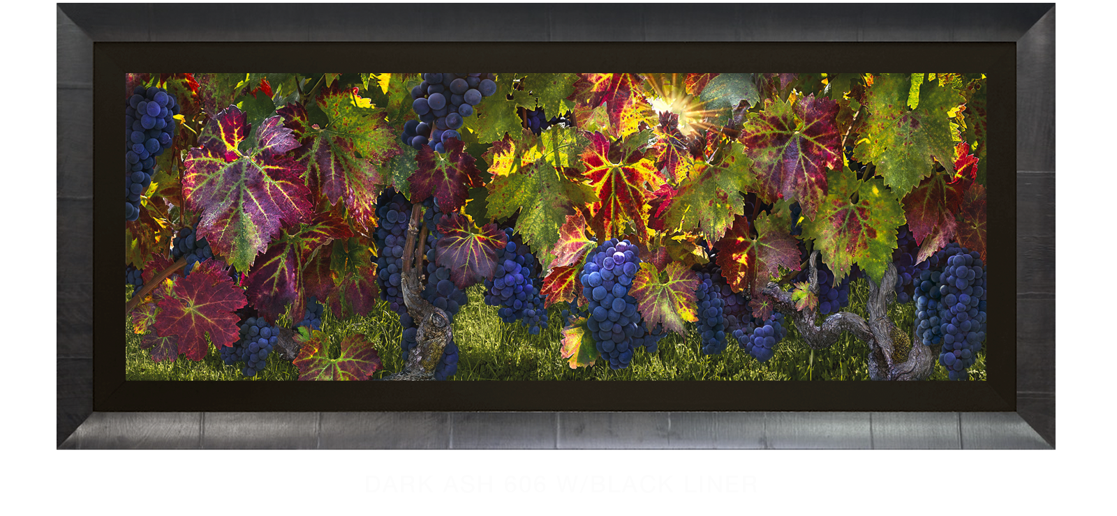 17CATHEDRALI VITIS Dark Ash 606 w_Blk Liner T