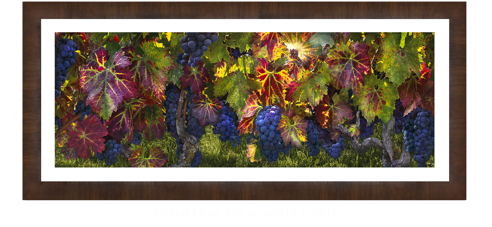 21CATHEDRALI VITIS Cigar Leaf 606 w_Wht Liner T