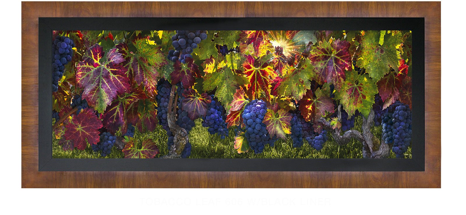 23CATHEDRALI VITIS Tobacco Leaf 606 w_Blk Liner T2