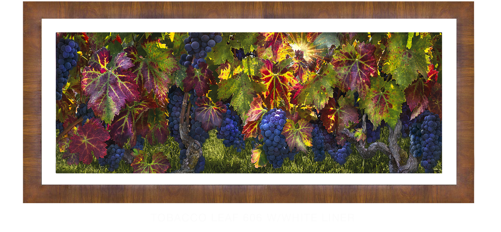 24CATHEDRALI VITIS Tobacco Leaf 606 w_Wht Liner T