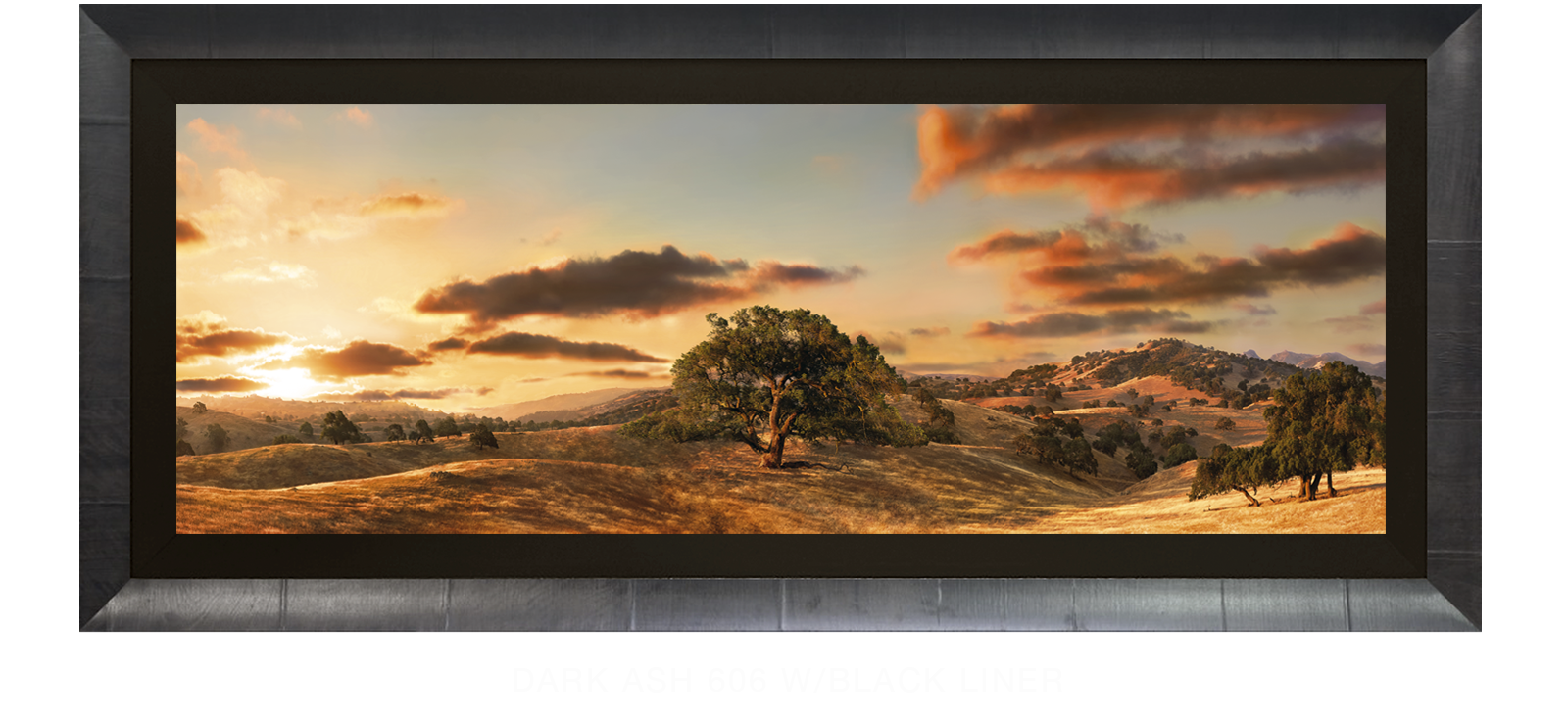 17OAKS Dark Ash 606 w_Blk Liner T