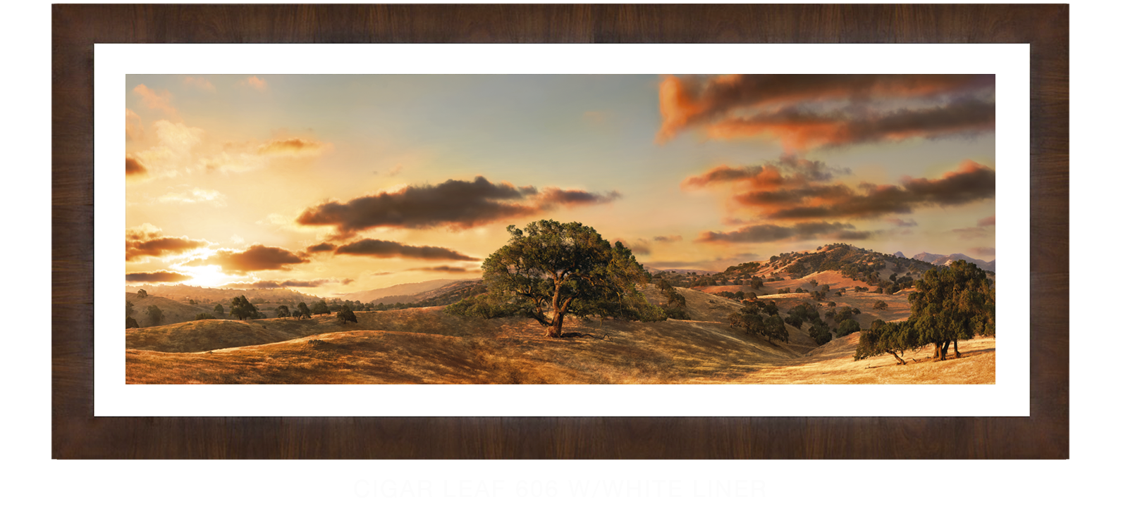21OAKS Cigar Leaf 606 w_Wht Liner T