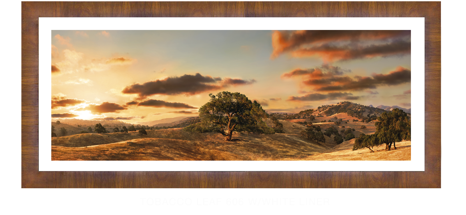 24OAKS Tobacco Leaf 606 w_Wht Liner T