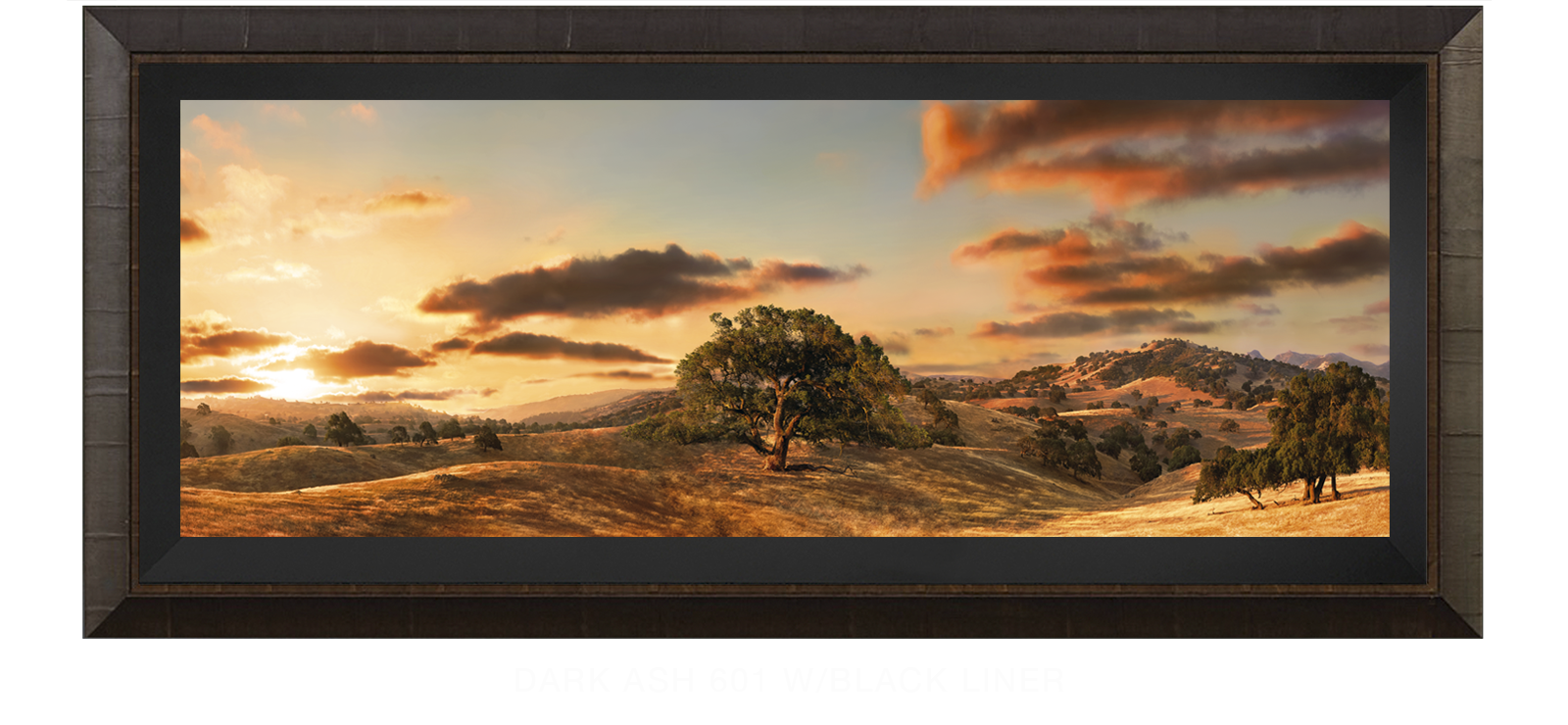 26OAKS Dark Ash 601 w_Blk Liner T