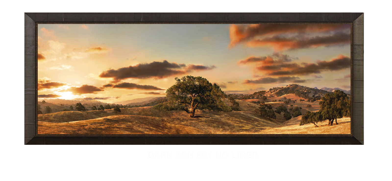 28OAKS Dark Ash 601 w_No Liner T