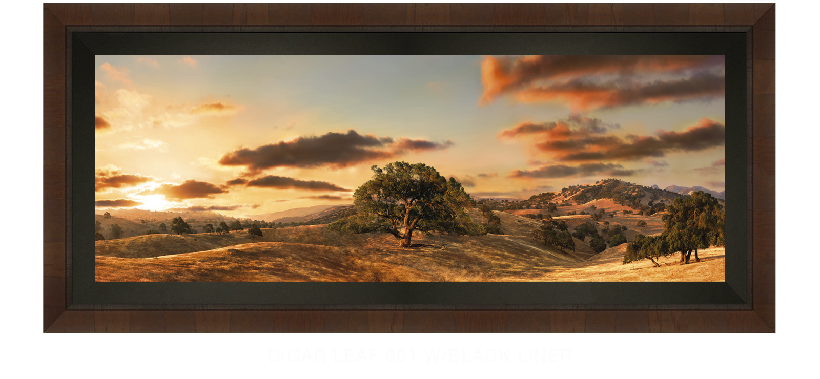 29OAKS Cigar Leaf 601 w_Blk Liner T